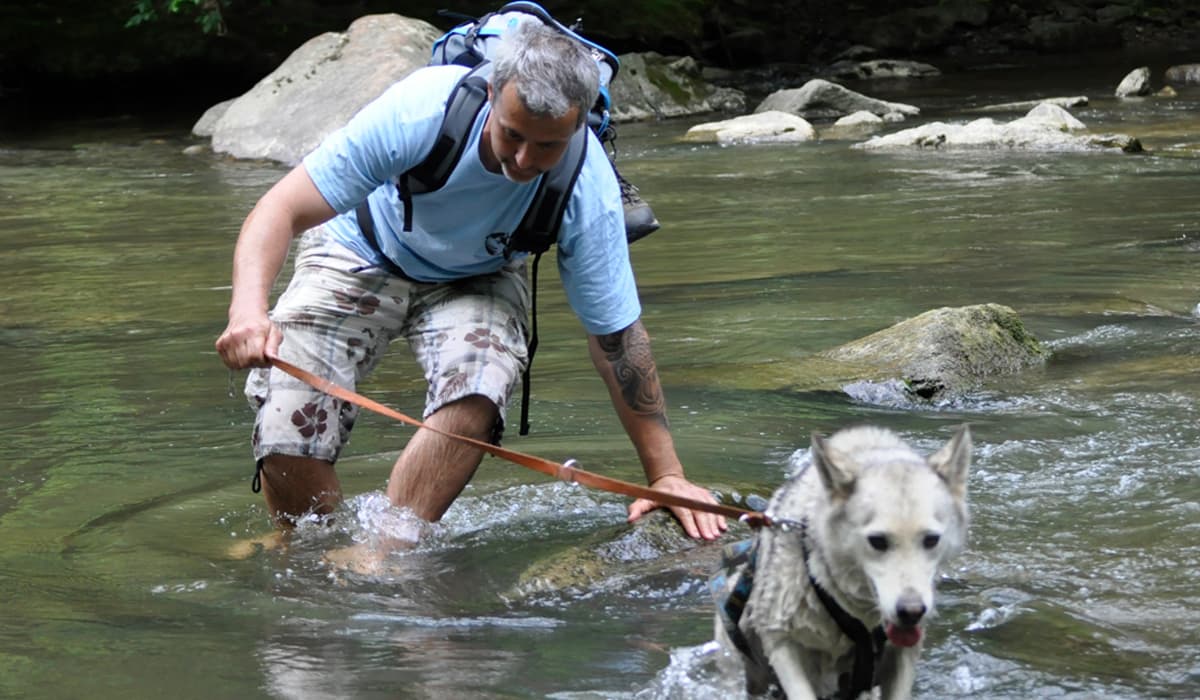 Husky-Erlebniswanderung in der Natur