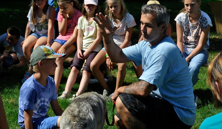 Einzigartiges Husky-Abenteuer für Schulklassen in Niederösterreich