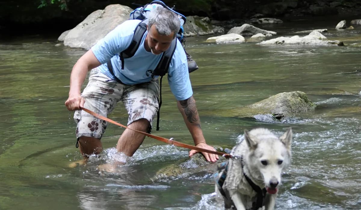 Husky-Erlebniswanderung in der Natur
